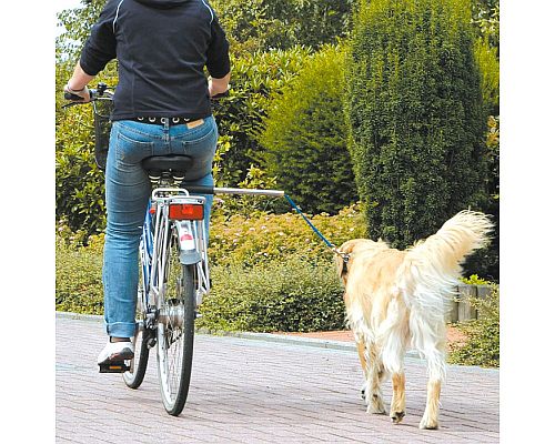Прогулка с собакой на велоповодке