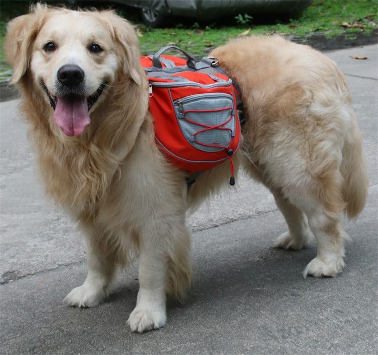 Рюкзак на спину собаке для походов фото оранжевый
