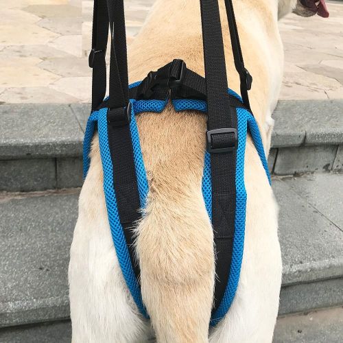 Ходунки поддержка задних лап для собак
