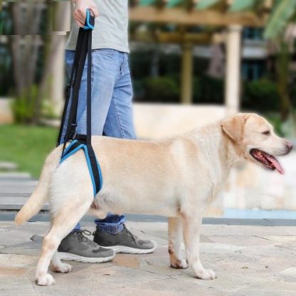 Ходунки поддержка задних лап для собак помощь