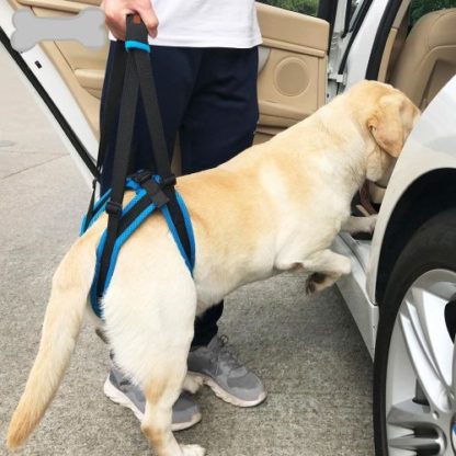 Ходунки поддержка задних лап для собак помощь в машину