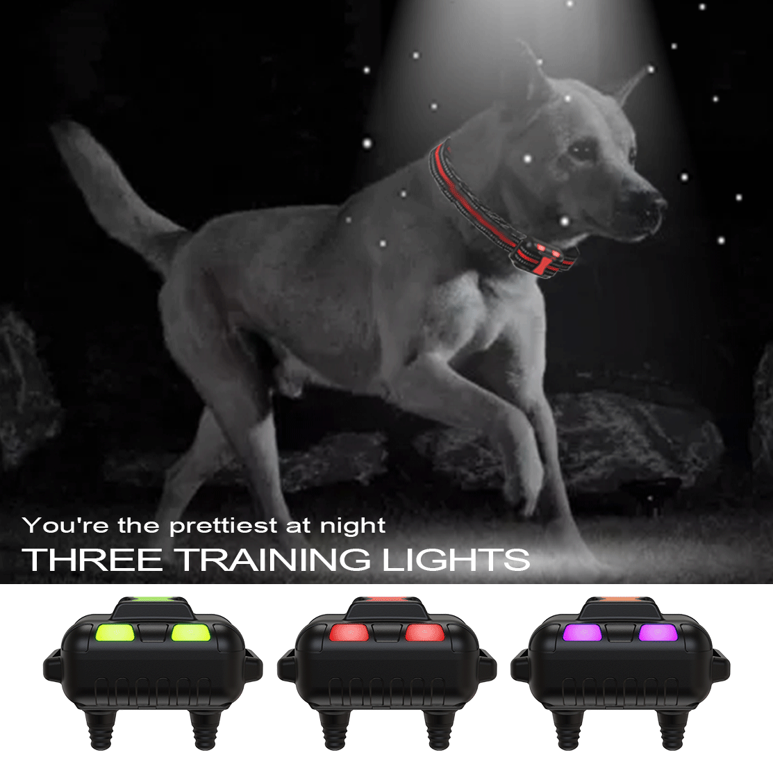 Электроошейник для собак T502 поиск собаки в темноте