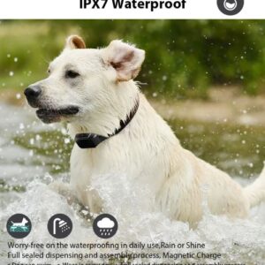 Ошейник для дрессировки собак T330 Защита от воды IPX7